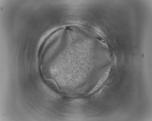 X0000071860342200607211923