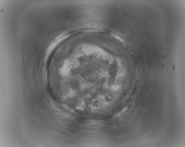 X0000071860343200607211923