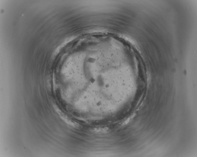 X0000071860345200607211923