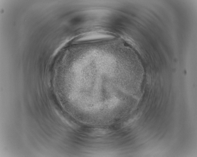 X0000071860347200607211923