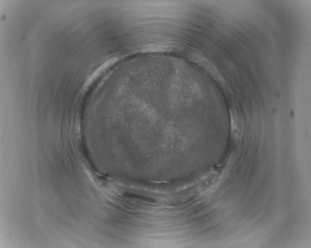 X0000071860348200607211923