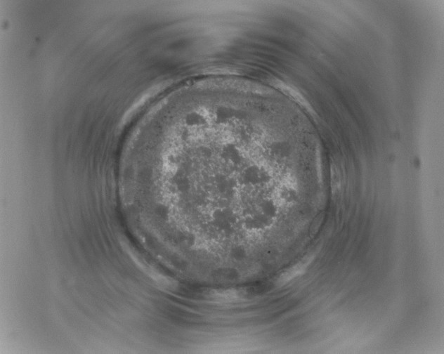 X0000071860349200607211923