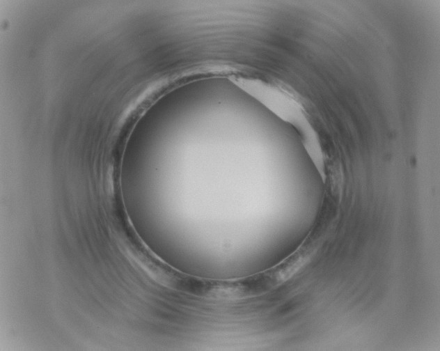 X0000071860350200607211923