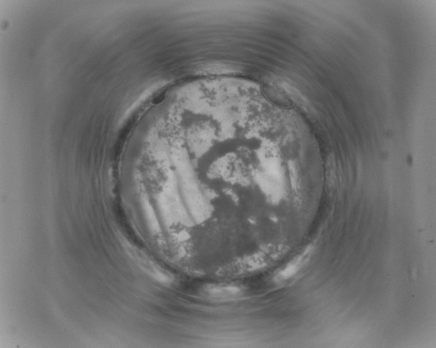 X0000071860351200607211923