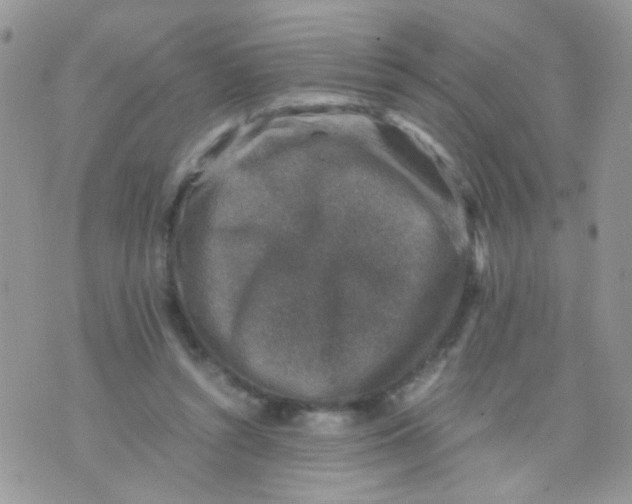 X0000071860352200607211923