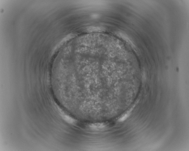 X0000071860353200607211923