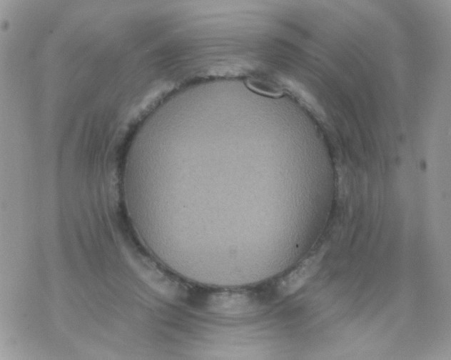 X0000071860354200607211923