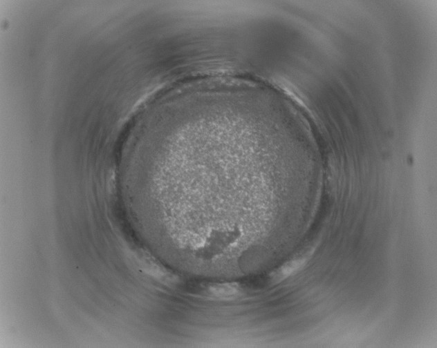 X0000071860355200607211923