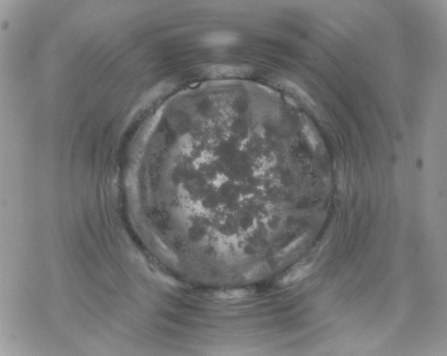 X0000071860357200607211923