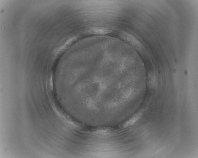 X0000071860358200607211923