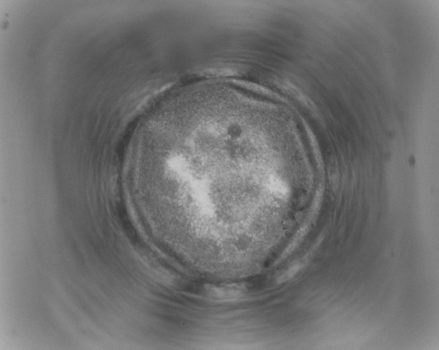 X0000071860359200607211923