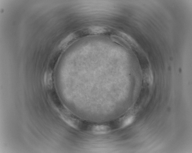 X0000071860360200607211923