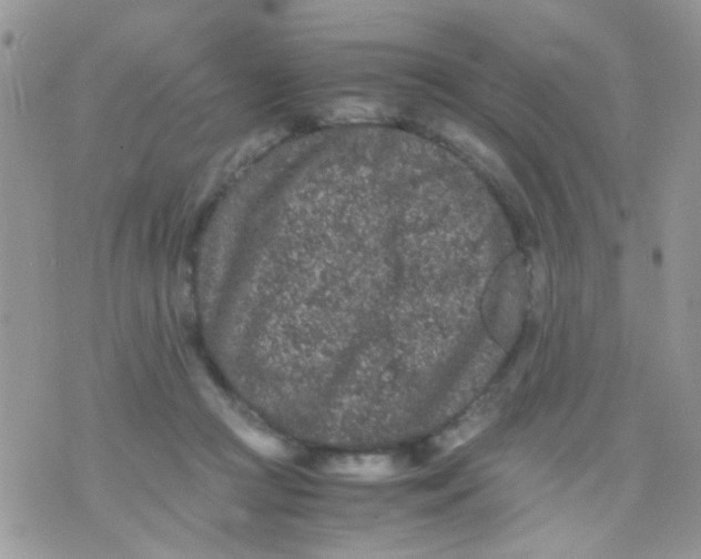 X0000071860361200607211923