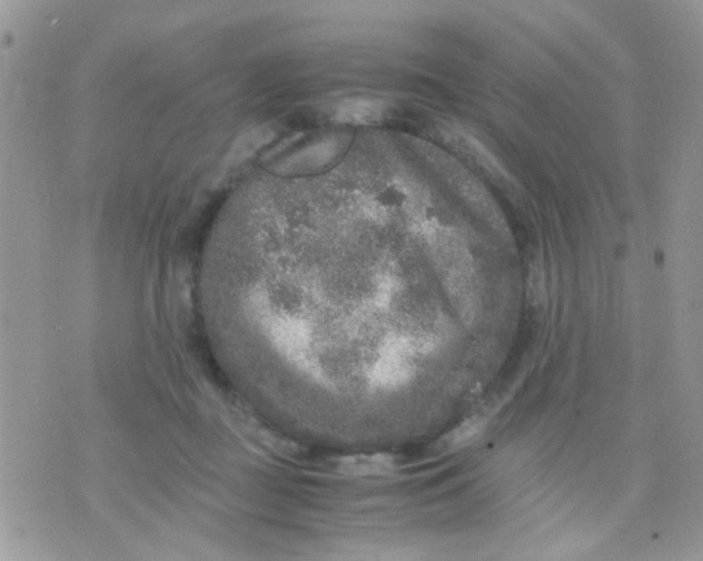 X0000071860363200607211923