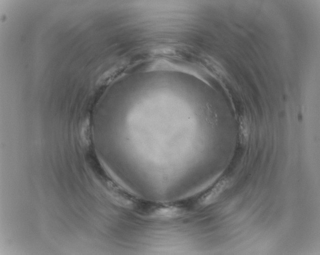 X0000071860364200607211923