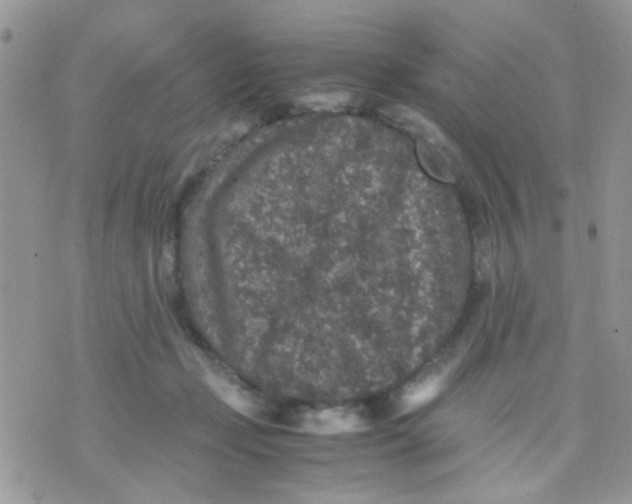 X0000071860365200607211923