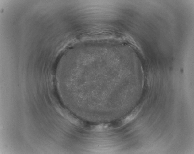 X0000071860366200607211923