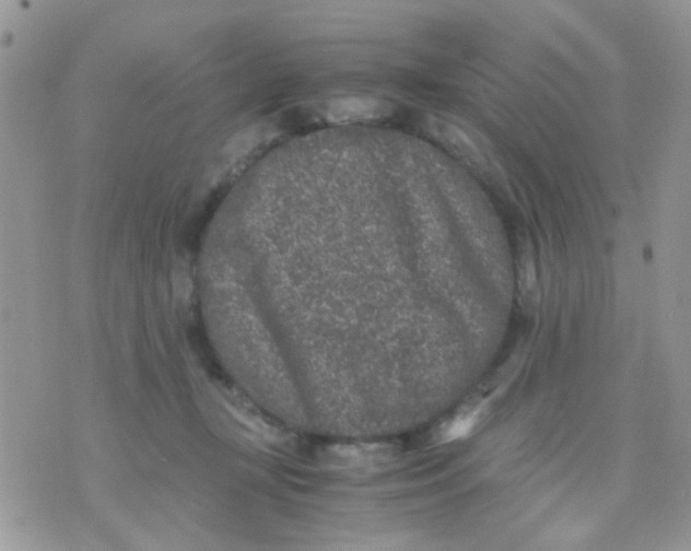 X0000071860367200607211923