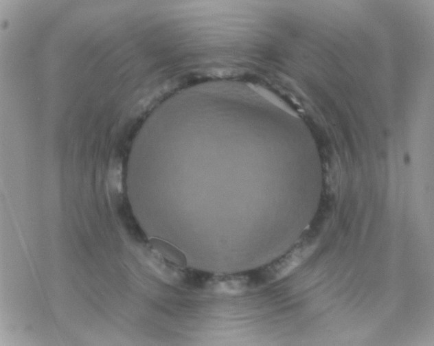 X0000071860368200607211923