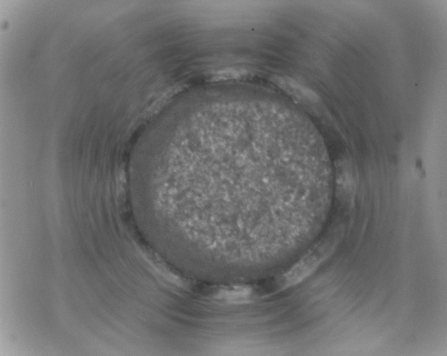 X0000071860369200607211923