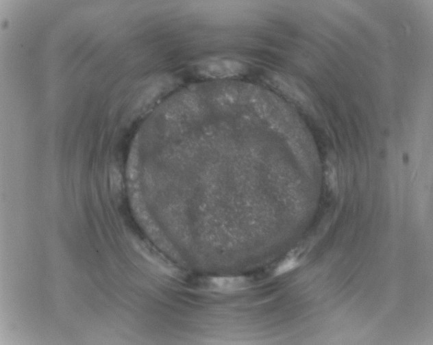 X0000071860371200607211923