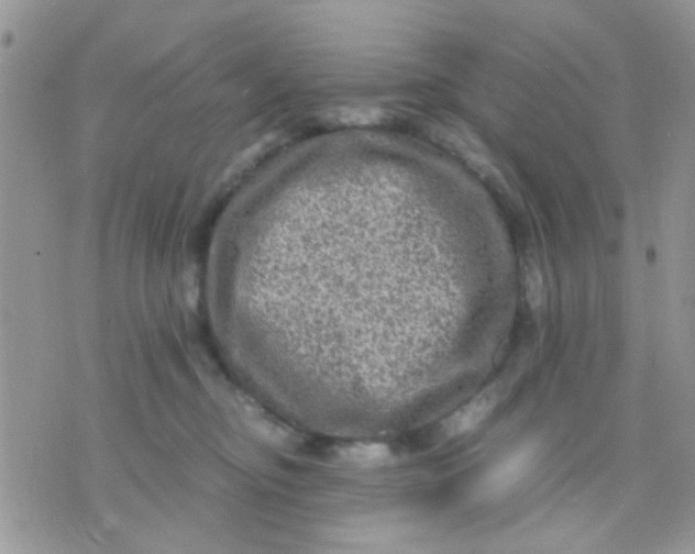 X0000071860374200607211923