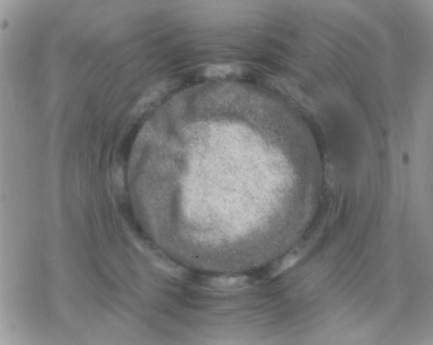 X0000071860375200607211923