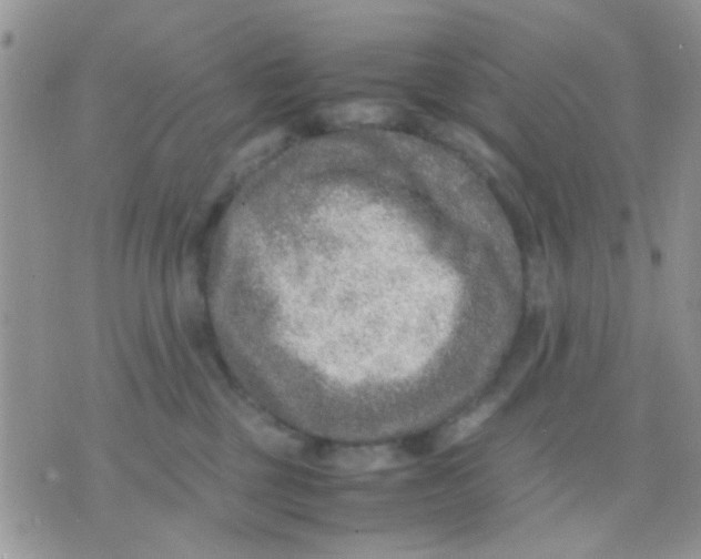 X0000071860377200607211923