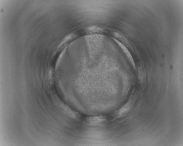 X0000071860378200607211923