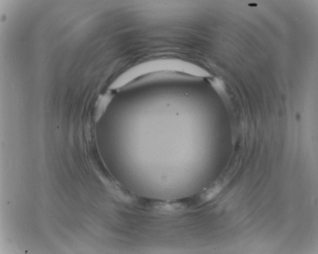 X0000071860379200607211923