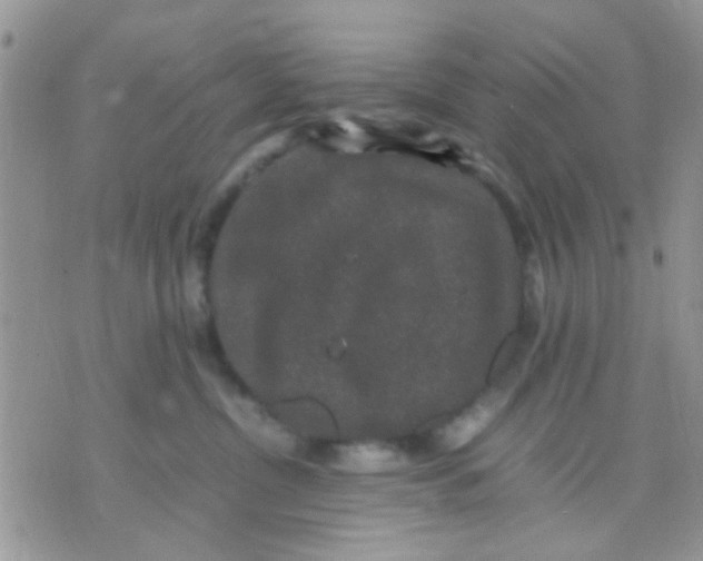 X0000071860380200607211923