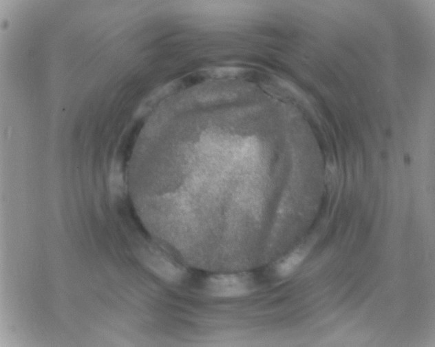 X0000071860381200607211923