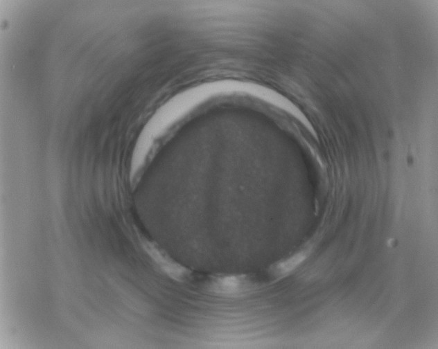 X0000071860382200607211923