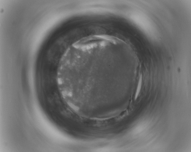 X0000071860383200607211923