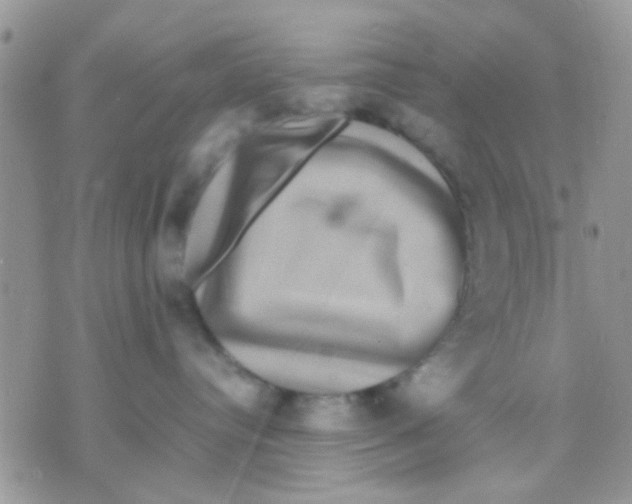 X0000071860384200607211923