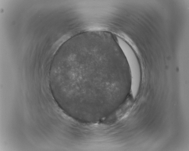 X0000071860385200607211922