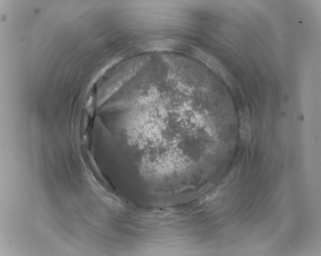 X0000071860386200607211922