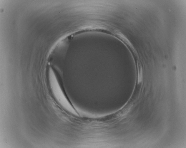 X0000071860387200607211922