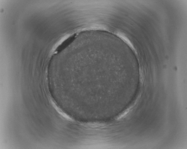 X0000071860389200607211922