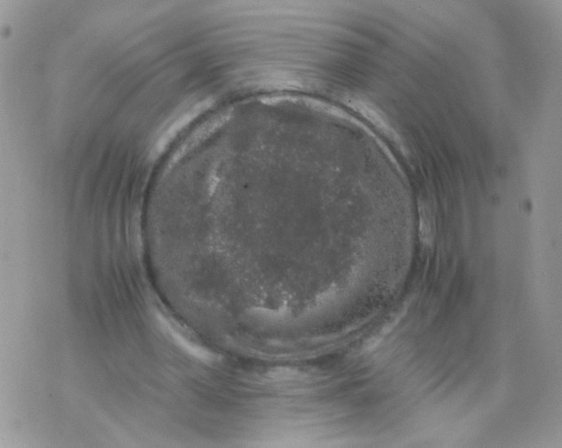 X0000071860390200607211922