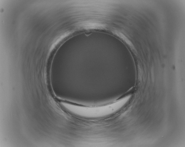 X0000071860391200607211922