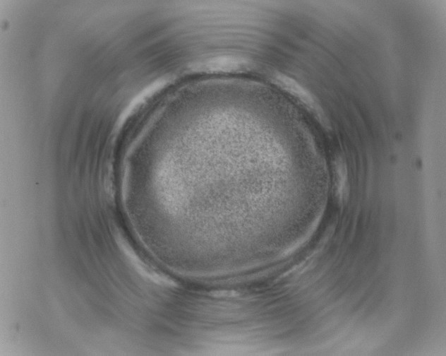 X0000071860392200607211922