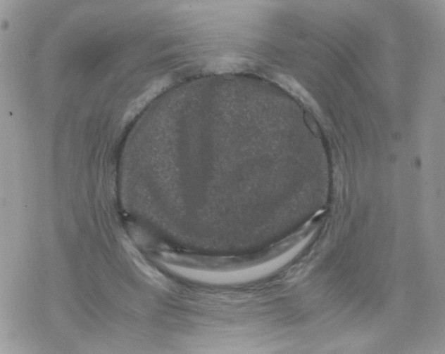 X0000071860393200607211922