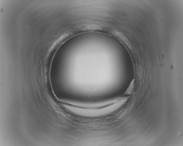 X0000071860395200607211922