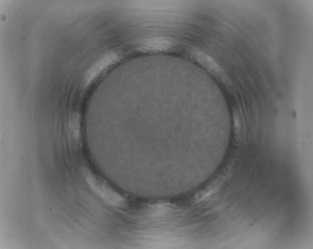 X0000071860396200607211922