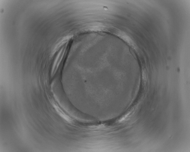 X0000071860397200607211922