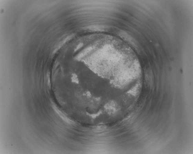 X0000071860398200607211922