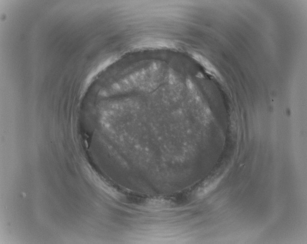 X0000071860399200607211922