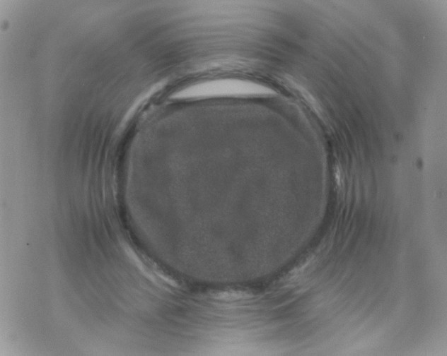 X0000071860400200607211922