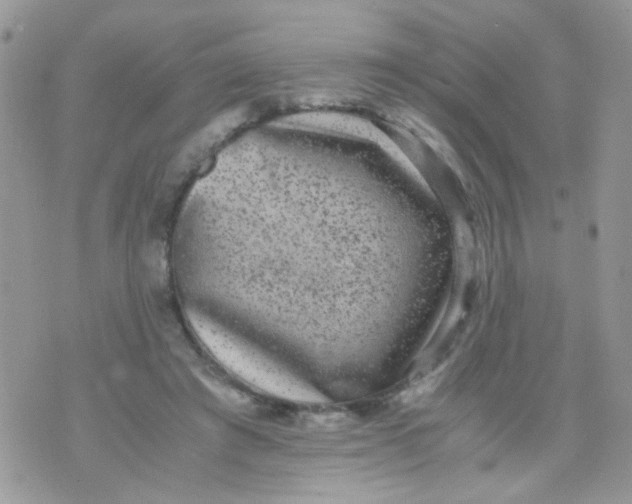 X0000071860401200607211922